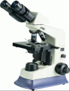 Microscope
