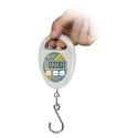Hanging Hook Balance